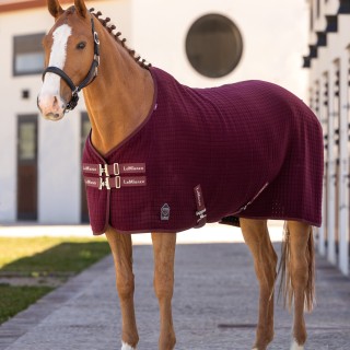 Stalldecke LeMieux Arika Clima-Tek