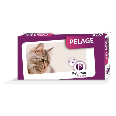 Ergänzungsfutter für Katzenfell Ceva Pet-phos