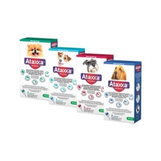Ataxxa 1250mg/250mg spot-on - 10 bis 25 kg - 3 Pipetten