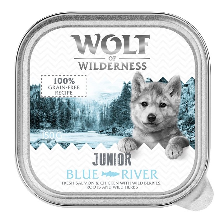 Wolf of Wilderness JUNIOR - Duo-Protein Rezeptur 6 / 24 x 150 g Schale - 24 x 150 g Blue River - Huhn & Lachs