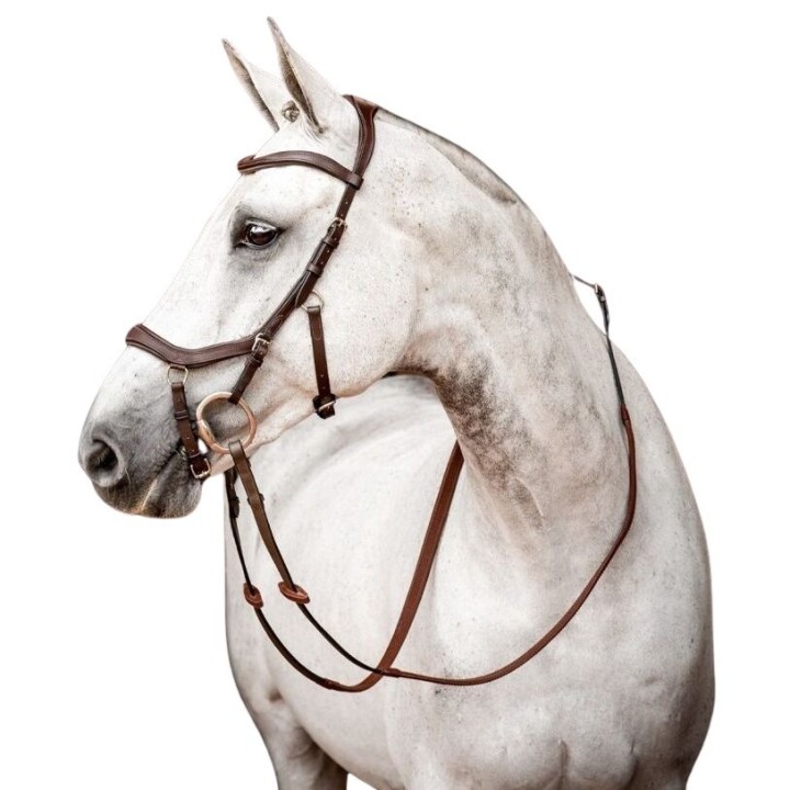 Turniertrensen Horseware Micklem 2