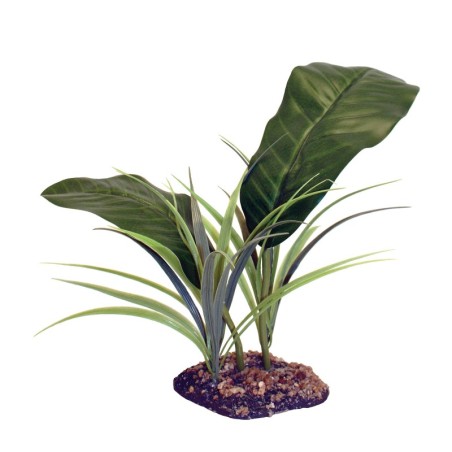Zubehör für Aquarien Komodo Evergreen Canopy