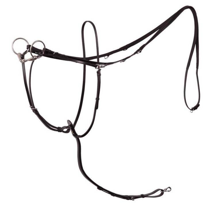 Martingal für Pferd BR Equitation Market Harborough Lancaster