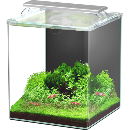 Aquatlantis Kubus Curve LED - Essential - 30 L