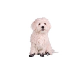 Hundesocken Flamingo