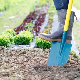 Randbeetpflanze mit Apfelgriff novagrip Leborgne Duopro