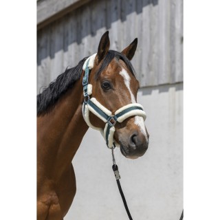 Halfter für Pferd Norton Cosy