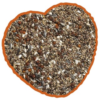 Vogelsnack Pfingstgimpel Special Mix Duvoplus