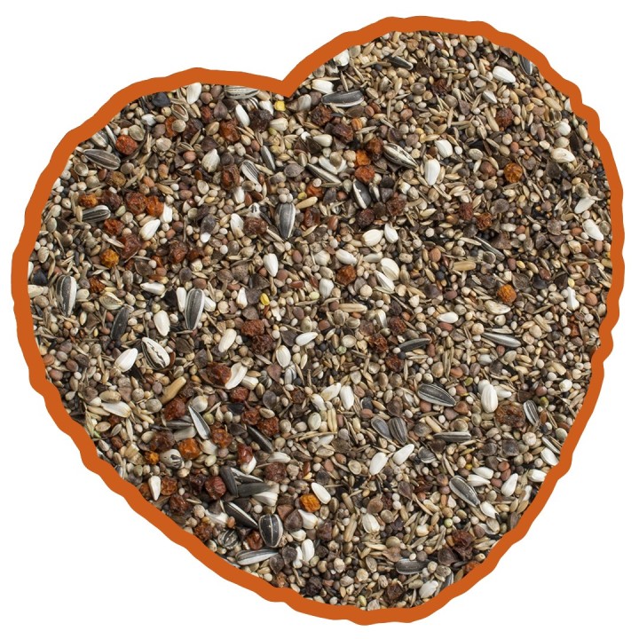 Vogelsnack Pfingstgimpel Special Mix Duvoplus