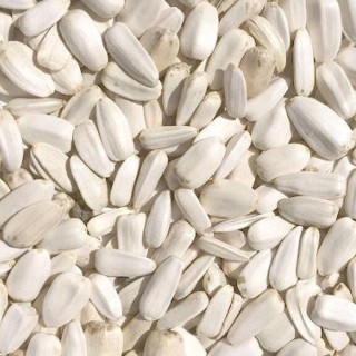 Vogelfutter Sonnenblume Duvoplus 12,5 kg