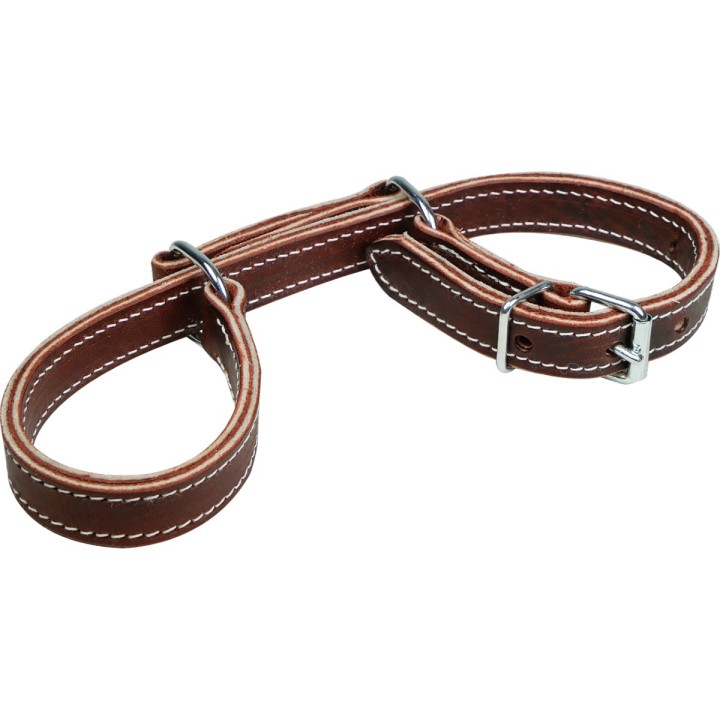 Amerikanische Pferdeverschnürung Ronzon Legend