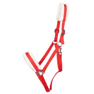 Halfter für Zugpferd Q-essentials Cali