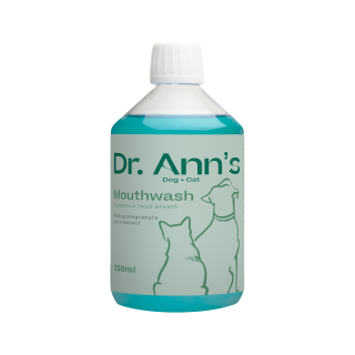 Dr. Ann's Mundwasser - 250 ml