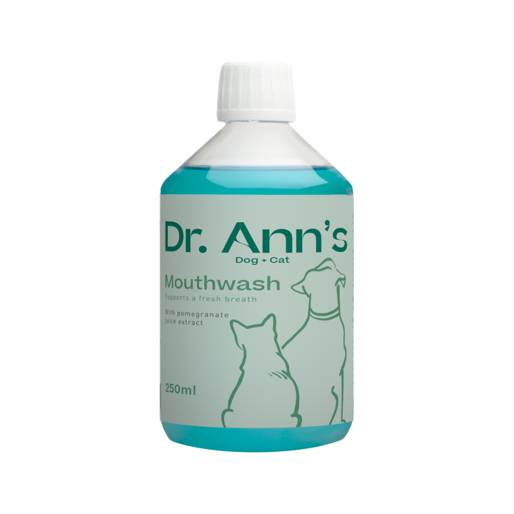 Dr. Ann's Mundwasser - 250 ml