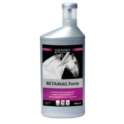 Ergänzungsmittel für Pferde Vetoquinol Equistro Betamag Forte