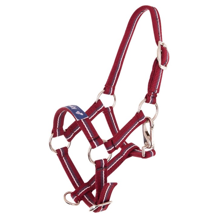 Halfter für Fohlen Premiere Equitation Fun