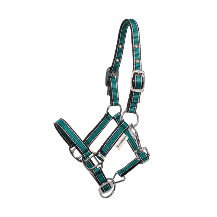 Pferdehalfter Kavalkade Shorty