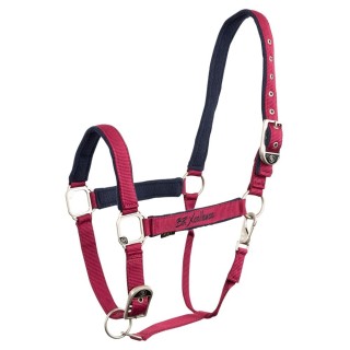 Halfter BR Equitation Xcellence