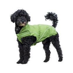 DogBite Regenjacke, Farbe: Grün