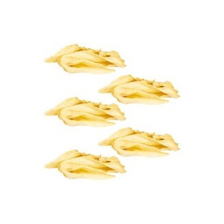 Schecker - Schecker Hundesnack Ziegenohren [5 x 200g]