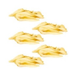 Schecker - Schecker Hundesnack Ziegenohren [5 x 200g]