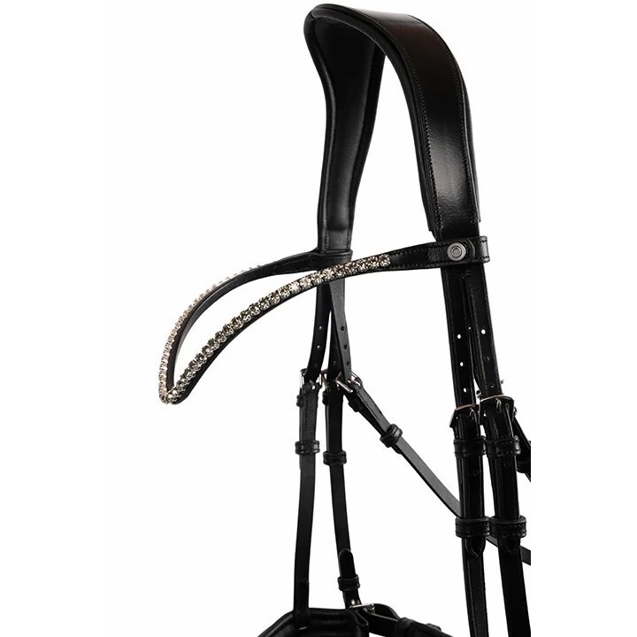 Stirnband für Pferd mit Kristall Montar Fair