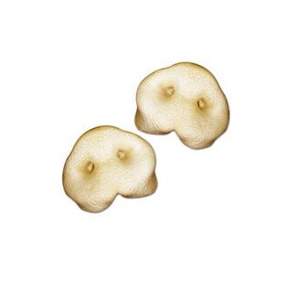 Schecker - Gepuffte Schweinenasen [5 Stück]