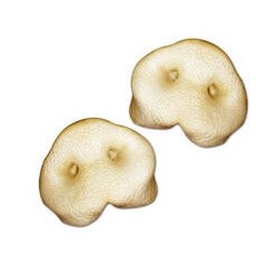 Schecker - Gepuffte Schweinenasen [5 Stück]