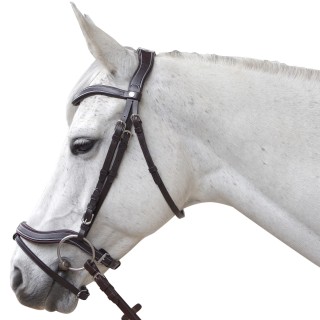 Anatomisch geformte Reitzäume Canter Baloubet