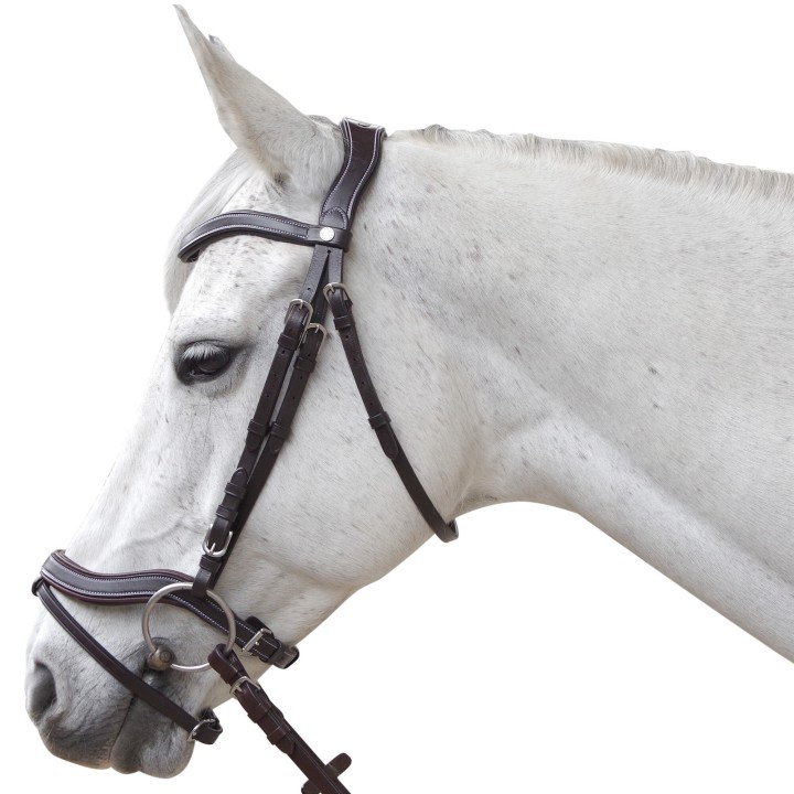 Anatomisch geformte Reitzäume Canter Baloubet