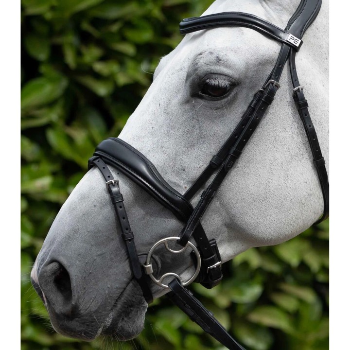 Flanschpfostenpaar Premier Equine