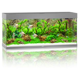 Juwel Rio 240 LED Aquarium - grau