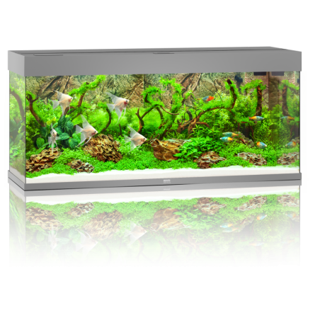 Juwel Rio 240 LED Aquarium - grau