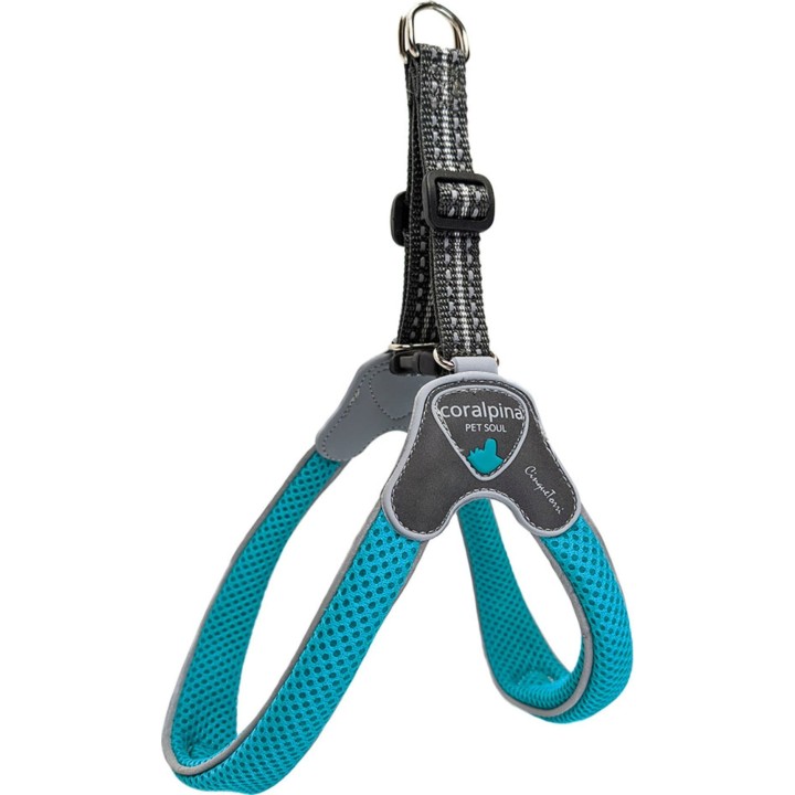 Coralpina Geschirr Cinquetorri Türkis - 2