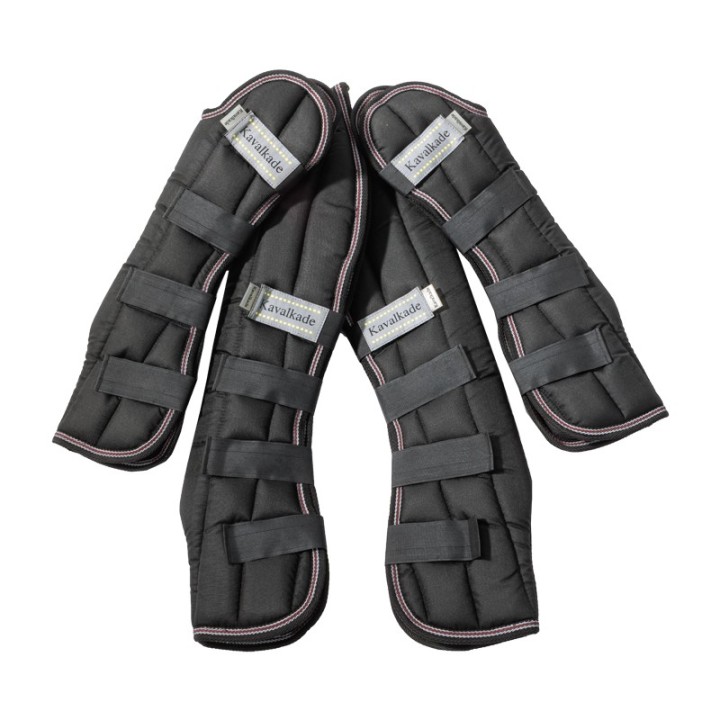 Transportgamaschen für Pferde, Kavalkade (x4)