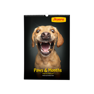 JOSERA Vieler Kalender 2025 - "Paws & Months"