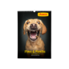 JOSERA Vieler Kalender 2025 - "Paws & Months"