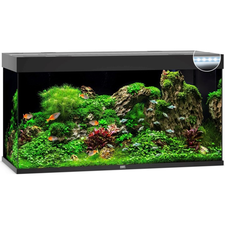 Juwel Rio 350 LED Aquarium - schwarz