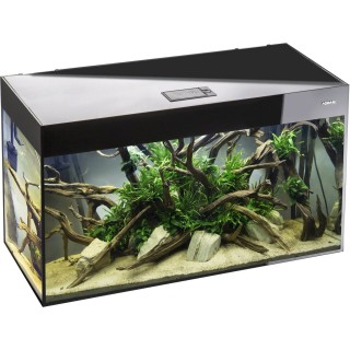 Aquael Aquarienset Glossy Cube 50 Day&Night - schwarz