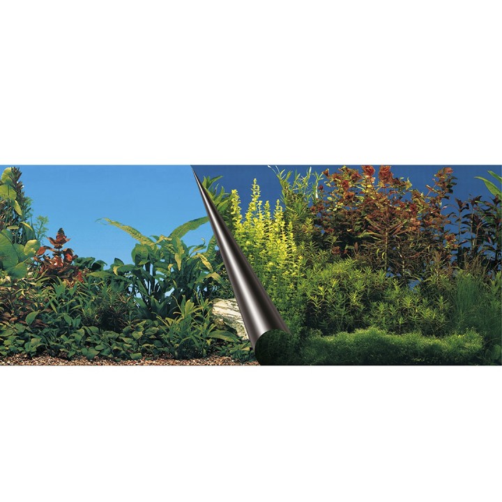 Poster Aquariumboden Aqua Della Stone & Coral