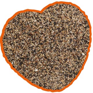 Vogelfutter für Braunkehlchen und Stieglitz Spezial Duvoplus