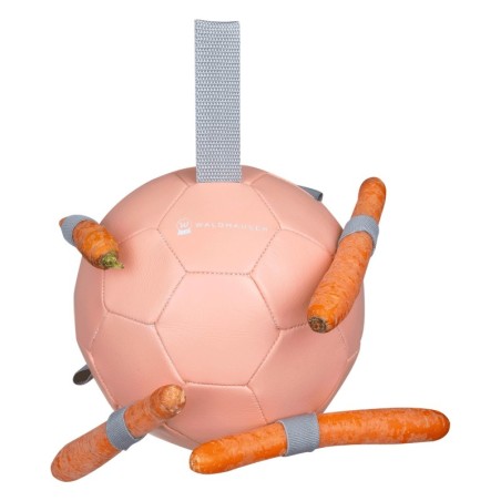 Karottenball Waldhausen