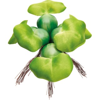 Oase Pontec Schwimmende Teich-Hyazinthe - 1 Stk