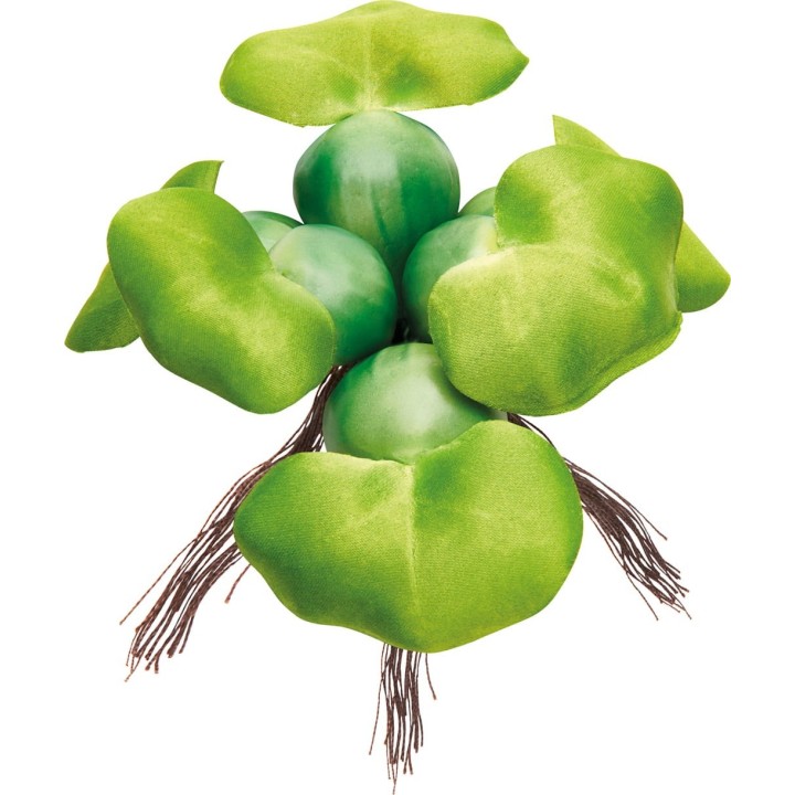 Oase Pontec Schwimmende Teich-Hyazinthe - 1 Stk