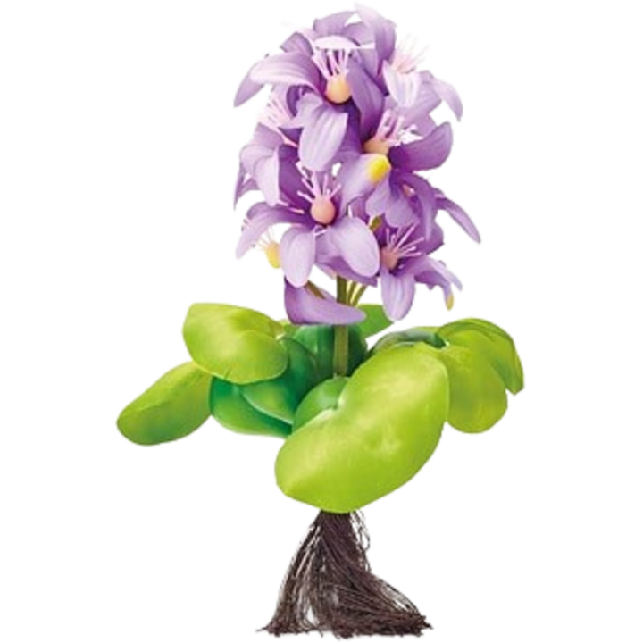 Oase Pontec Schwimmende Teich-Hyazinthe blühend - 1 Stk