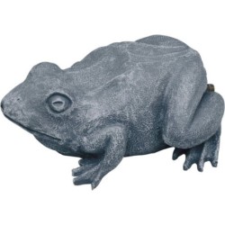 Oase Wasserspeier Frosch - 1 Stk