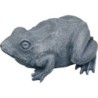Oase Wasserspeier Frosch - 1 Stk