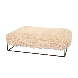 Katzenkissen D&D Home Amy