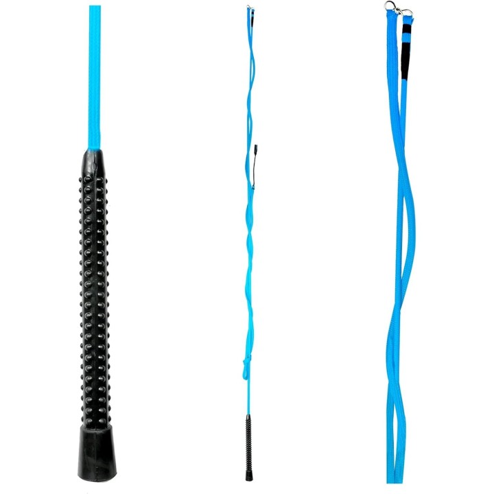 Chambrière Reiten Waldhausen