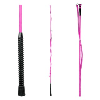 Chambrière Reiten Waldhausen